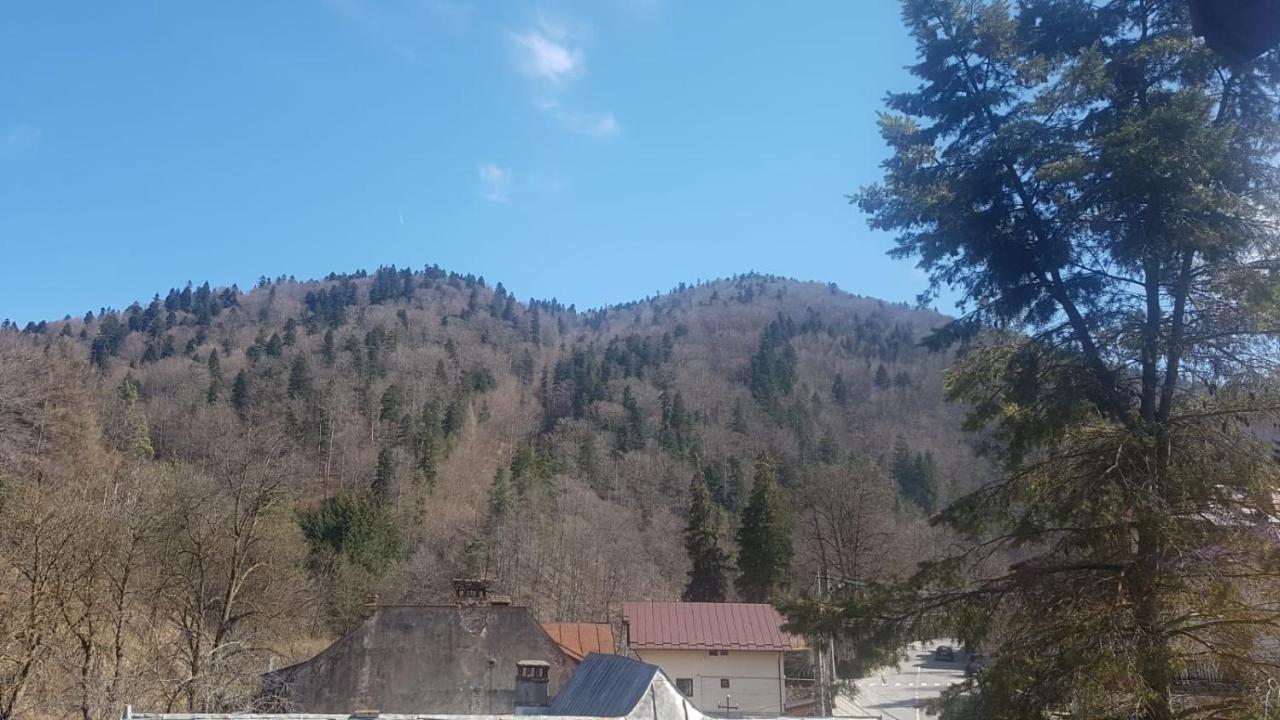 Apartament Greenstar Sinaia Exterior photo