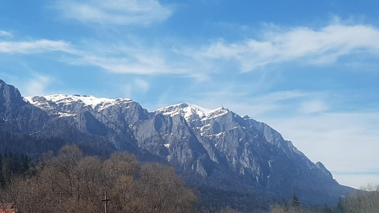 Apartament Greenstar Sinaia Exterior photo
